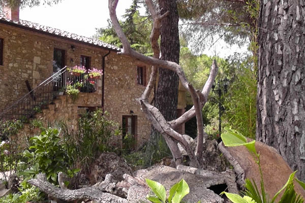 Agriturismo Il Poderino | Bibbona (LI) | Esterno zona ristoro