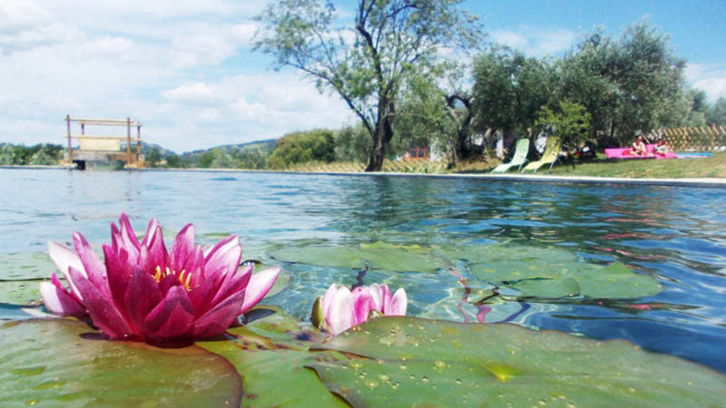 Biolago Agriturismo Il Poderino | Biolake Farmhouse Il Poderino | Biosee Bauernhaus Il Poderino